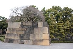 Tokyo, The Ledge of the Garden Wall of the Imperial Palace