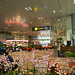 #14 Singapore Changi Airport - Singapur Singapore Singapura 新加坡共和国 சிங்கப்பூர் குடியரசு