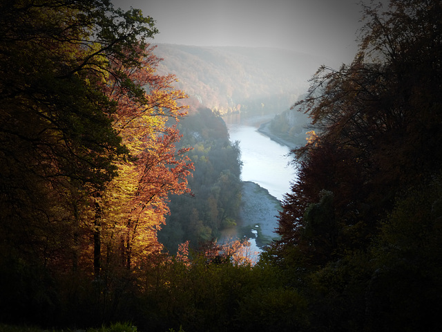 Donau im Herbstlicht