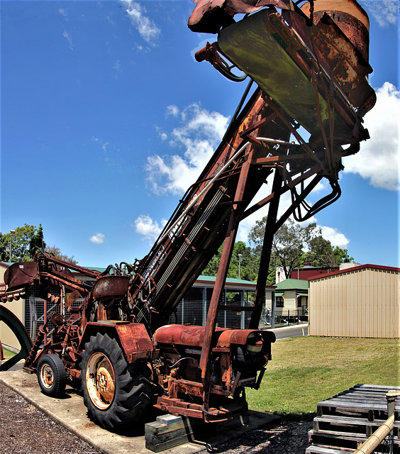 Early cane harvester