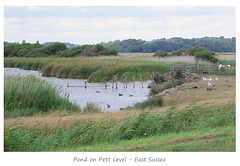 Pond on Pett Level - Icklesham - Sussex 1 8 2006