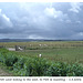 Pett Level - a view to the west - East Sussex  - 1 8 2006