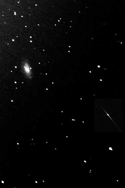 NGC 3953 in Ursa Major
