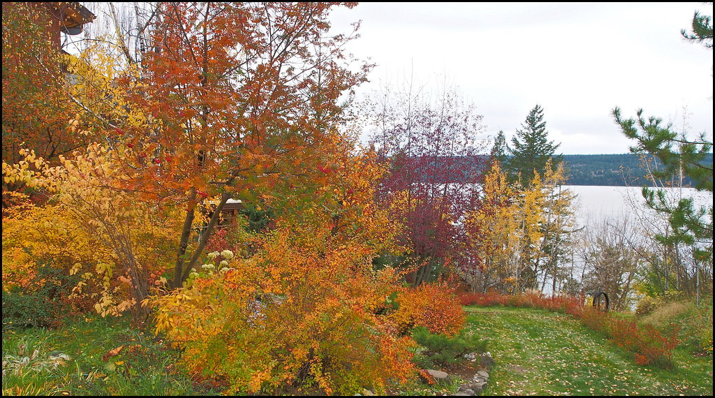 Fall at Lac La Hache, BC