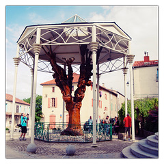 L'arbre sculpté du Caylar sur le Larzac