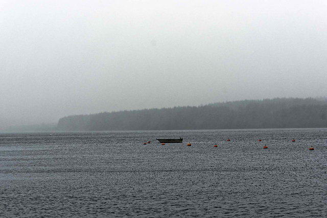 Lake Brenig 8