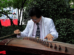 Musician, People's Park