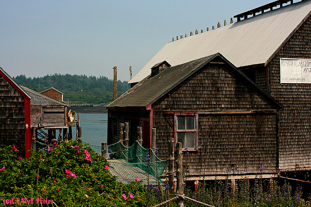 Old Buildings at McCurdy Herring Smokehouse