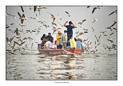 Balade sur le Gange