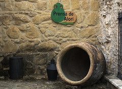 Olive Oil Amphora