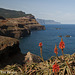#21 Madeira is ... nature, Ponta de São Lourenço