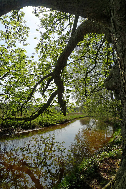 Nederland - De Wijk, Reest