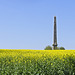 Obelisk in Oilseed Rape Field (PiP)