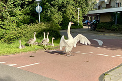 Mr Swan and family