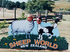 109/365 Sheep World New Zealand
