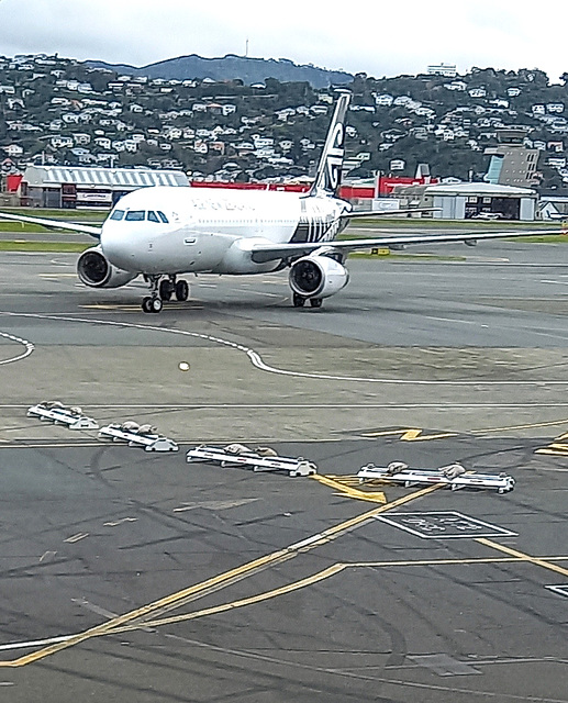Plane At Wellington Airport.