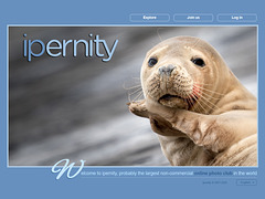 ipernity homepage with #1346