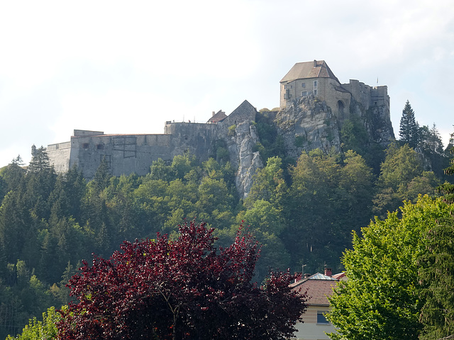 Fort Malher du Larmont inférieur ( F )