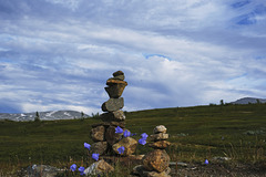 stone markers, Fløya 2