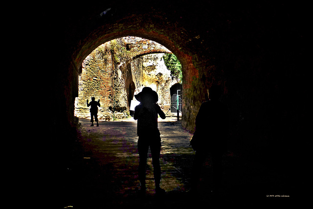 Fortezza Nuova, Livorno (PIP)