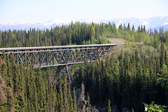 Trestle bridge in the wilderness