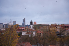 Blick auf Užupis und den  Gediminas-Turm