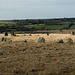 Cornwall - Stannon stone circle