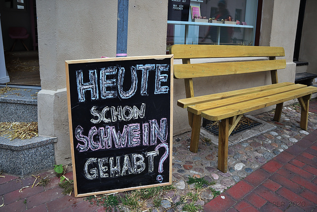 Schwein gehabt? ... Happy Bench Monday!