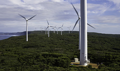 Wind Farm Albany. HFF