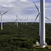 Wind Farm Albany. HFF