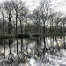 Reflections on a Winters lake