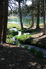 Teresa Lake & Creek