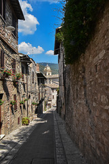 Urbino-