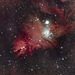 Christmas Tree Nebula NGC 2264