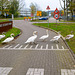 Swans on the move