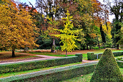 Herbst im Schlosspark Hasenwinkel