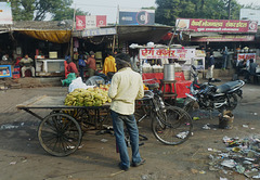Agra- Bananas for Sale