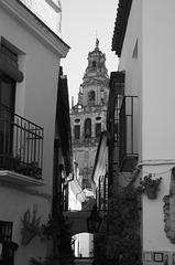 The Cathedral tower at Córdoba