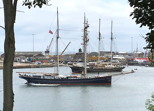 Tall Ships in Harbour