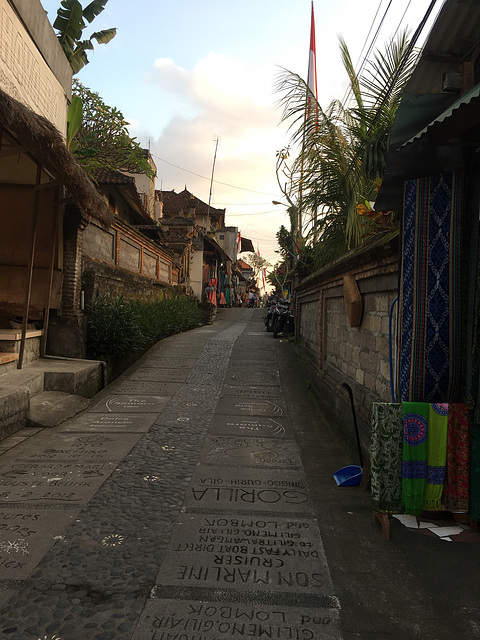 Notre rue tranquille à Ubud
