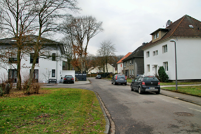 Lessingstraße (Marl-Hamm) / 12.12.2018