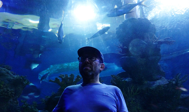 MT - St. Paul's Bay - Im National Aquarium