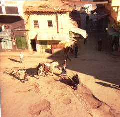 Voir la vie marocaine depuis un toit / Morroco live action from a roof