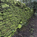 Green wall 1