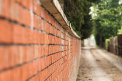 Long Brick Wall (2)