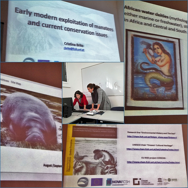 "Early modern exploitation of manatees and current conservation issues"