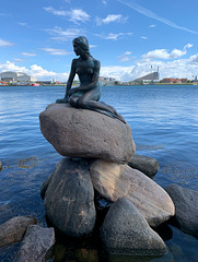 The Little Mermaid (Den lille Havfrue), Kopenhagen