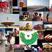 Burning Man Collage 2013