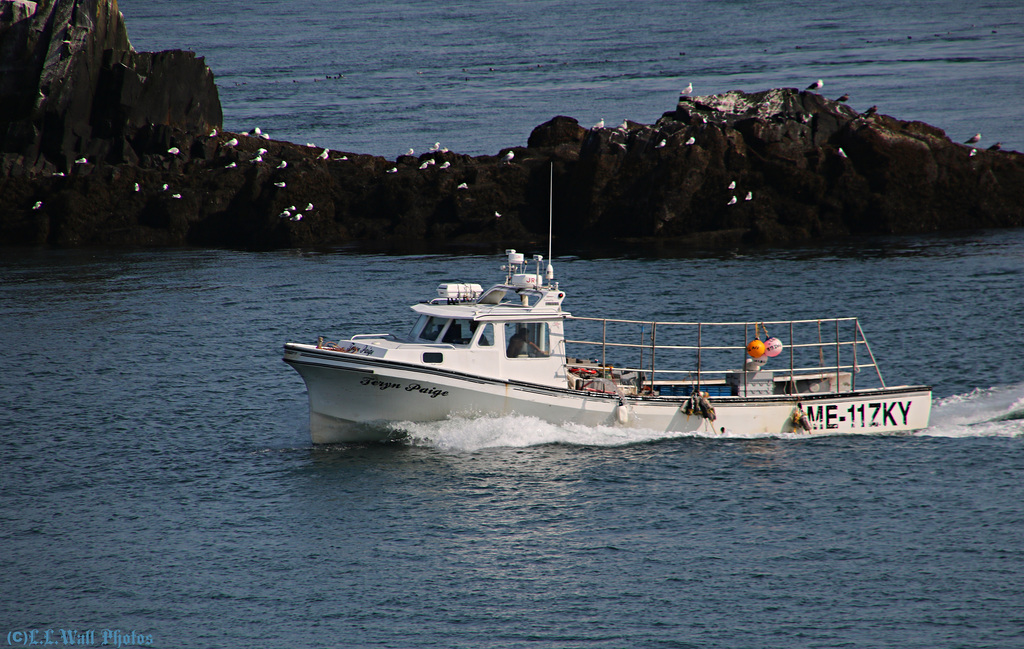 Lobster Boats and Rocks (3 of 3)