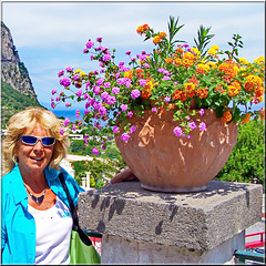 I fiori di Capri